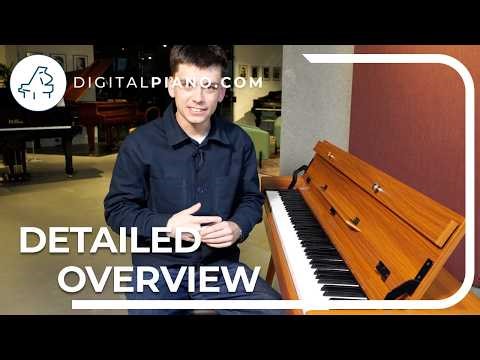 🎹 Hafnia HDP-1 - Detailed Overview | Digitalpiano.com