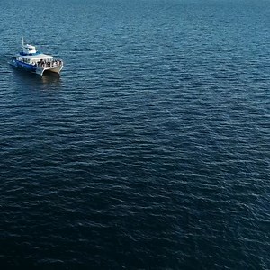 1.4K views · 801 reactions | Welcome to the SPLASH ZONE  This humpback whale was putting on a show yesterday — playing around and breaching again and again! Absolutely incredible drone footage captured by Gabe Berghouse  Moments like this are why we head out on the water ✨ #HumpbackWhale #SplashZone #WhaleWatching #DroneFootage #BreachingWhale OceanMagic SoCalCoast WhaleVibes Dana Point Times | Dana Wharf Whale Watch | Facebook