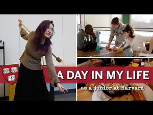 Typical Day in the Life of a Junior at Harvard!