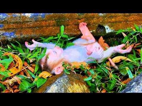 No Sound, Tightly Space, Newborn Levi Unable To Move, Thank Amanda For Help | Footage 08/04/2026