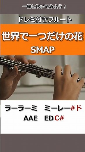 【フルート・楽譜】世界に一つだけの花 / SMAP /一緒に吹いてみよう♪ #フルート #smap #flutecover #初心者 #吹奏楽 #musicsheet