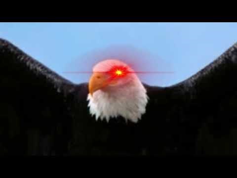 Eagle earrape