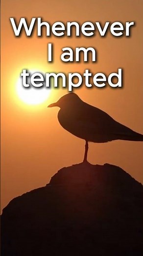 His eye is on the sparrow 🙏