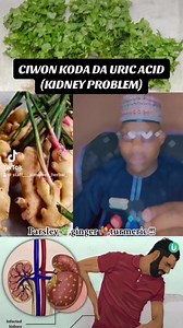 Using parsley 🌿, ginger 🫚, and turmeric to solve kidney problems [By Dr. Aliyu] #herbalmedicine #herbalremedies #plantmedicine #parsley #ginger #turmeric #kidneydisease #KidneyProblem #kidneyinfection #kidneystones #viralreels #reelsvideo #reelsviral #reels #viral #Hausa | Almaleek Herbals