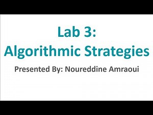 Lab 3: Algorithmic Strategies