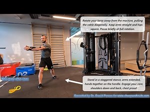 Cable woodchop twist