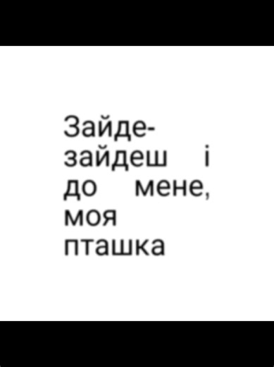 Ukraine Eurovision 2025 Bird of Prey