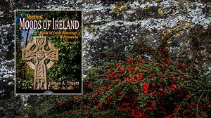 16K views · 920 reactions | Download the first two books in my...