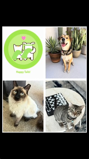 💚🧡 Happy Tails Alert!! 🧡💚 🐶🐱PawBoost loves to share happy endings!! 📣 Want to hear about more heartwarming reunions? Check our blog for more Happy Tails -> https://www.pawboost.com/blog/categories/happy-tails/ Lost or found a pet? Report it to PawBoost here: https://www.pawboost.com/l/rpl #pawboost #LostAndFoundPets #PetReunion #Reunited #TikTokPets #lostcats #lostdogs #reunion #happytails #pawboosthappytails #DogReunion #CatReunion #powerofcommunity #dogs #pets #cats #dogsofinstagram #ca