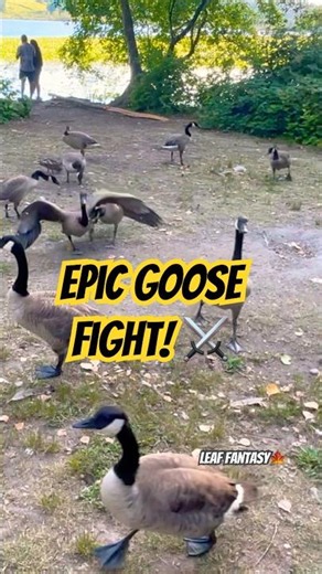 Epic Goose Fight! ⚔️ | Leaf Fantasy 🍁