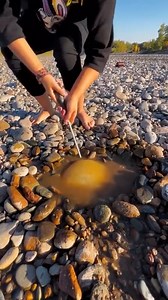 أروع الاختراعات والأجهزة والمركبات التي تصنعها. | Roch Arthur Officiel