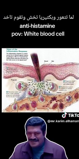 Understanding Inflammatory Response and How Histamine Works on Blood Vessels