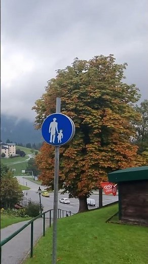 Autumn Tree in Austria #coloursofautumn, #autumn