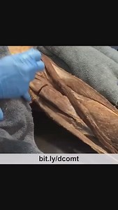 2.3K views · 28 reactions | ✨ THE ADDUCTOR MAGNUS IS A SHELF FOR THE...