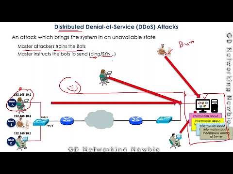 Denial-of-Service (DoS) and Distributed DoS (DDoS) Attacks