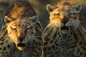 Morgan Freeman raconte les extinctions massives sur Netflix