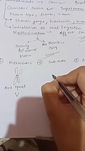 The given diagram shows the types of chromosomes (labelled as A... | Filo