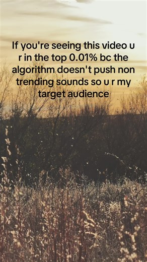 Southern Gothic Vibes: Explore Dark Country Blues