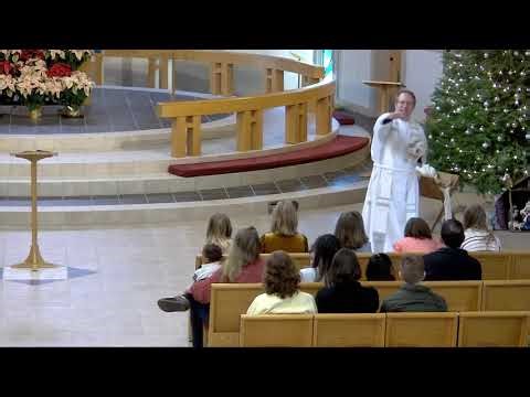 Plotinus (Tiny) the Pig - Second Sunday After Christmas 2026