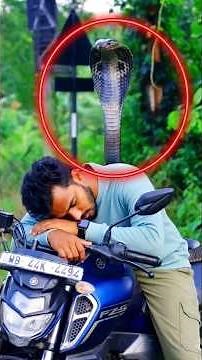 😱 নাগের প্রতিশোধ 😱 শেষটা মিস করো না বন্ধুরা ❌😱