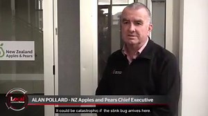 Beware the devastating threat from brown marmorated stink bug. Full story - https://www.nzherald.co.nz/nz-herald-local-focus/news/article.cfm?c_id=1504150&objectid=12241709 #NZHFocus #NZonAir | nzherald.co.nz