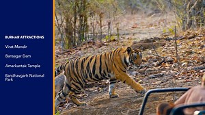 16 reactions | The newly launched Comfort Inn Vilasa is the first branded hotel in Burhar Shadol District. Experience warm efficient service with plush interiors, spacious rooms, and delectable dining options at a value proposition To book a relaxing stay: https://bit.ly/3ucTY4l #choicehotels #choicehotelsindia #madhyapradesh #madhyapradeshtoursim #burhar #internationalbrand #services #hospitalityindustry #hotels #makeityourchoice | Choice Hotels | Facebook