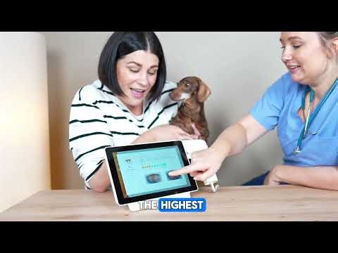 Cancer Screening for Dogs: Pop's Journey with HT Vista