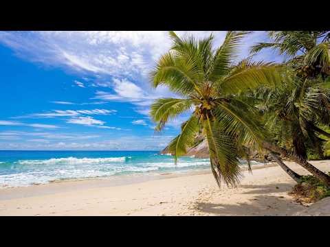 Ocean Ambience 4K ULTRA HD. Tropical Beach & Ocean Waves Sounds for Relaxation