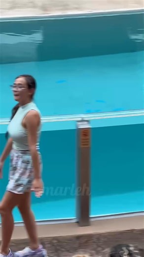 Look at the camera | Tom the mime | Jayden