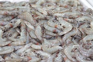 3.3M views · 24K reactions | Boiled or fried. In a salad or in gumbo. However you like your shrimp, Reed Bowers has you covered. And he’s Texas' largest shrimp farmer. | Texas Farm Bureau | Facebook