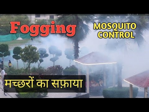 Fogging in Apartment | Mosquito Control | Insect Repellent | Healthy Environment 