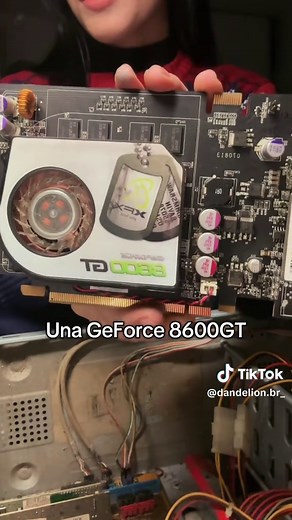 GeForce 8600 GT: la gráfica que heredé después de 19 años