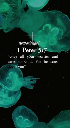 2025 09 07 @wordogod 7547401606266998072