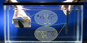 This Barnacle-Inspired Glue Works Amazingly Well Underwater
