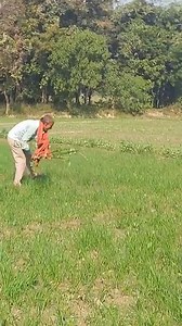 #loomsolar #solarpanels #solarpowered #freeelectricity | Loom Solar