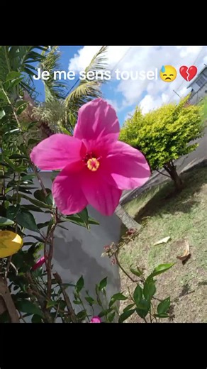 oceanne🫶❤️‍🔥 (@oceanne830)’s videos with sonido original - user37879436855