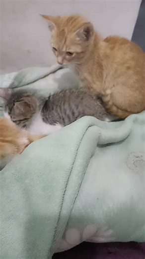 moodbosterku tiap hari....