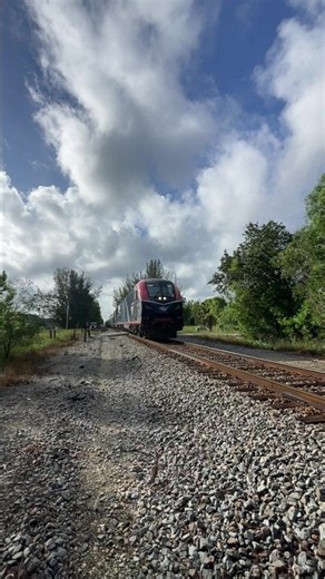 Full Speed 79MPH Amtrak Silver Meteor