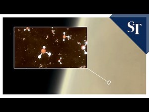 Potential sign of alien life detected on Venus