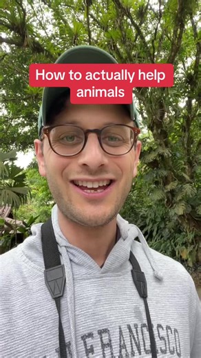 Effective Ways to Help Animals and Promote Kindness