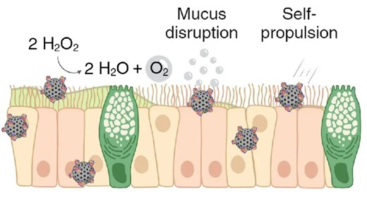 'Snot bots' may deliver drugs by 'sneaking through the body like a Trojan horse'