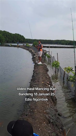Video Hasil Mancing ikan Bandeng 18 Januari 25