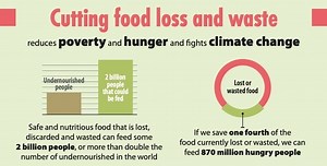 This tech reduces food waste by monitoring freshness