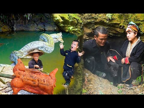 Dwarf Family Rescues Trapped Dog - Grilled Whole Pig - Attacked by Giant Python - Catche Fish in Mud