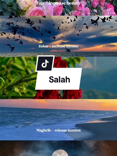 Never Miss Salah #salah #namaz #5dailyprayers #islamicpost #islamicreminders