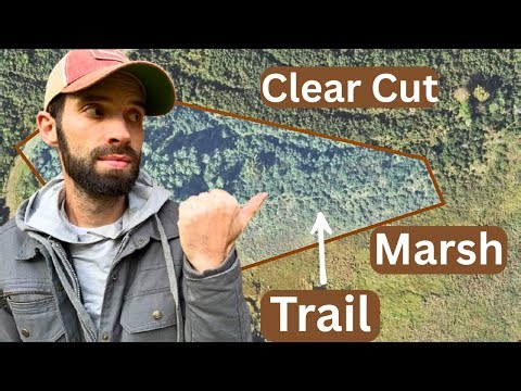 Find the Perfect Public Land Stand Location for Deer Hunting