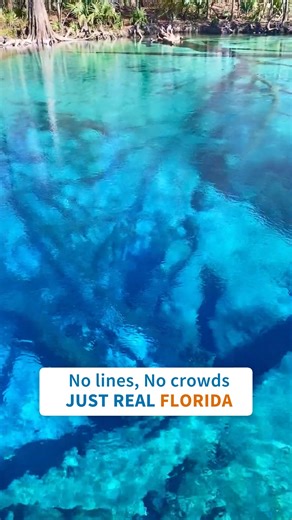 Trade the 2-hour lines for 72-degree springs. 🌿✨ Sometimes the best vacation memories don’t cost a fortune (or your sanity). This is the Florida the locals keep to themselves—quiet, crystal clear, and completely stress-free. Why pay huge service fees to a "faceless corporation" just to stand in line? 🚫🎢 Book direct with a local owner who can point you to hidden gems like this. Tap the link in bio to browse fee-free rentals near Florida’s wildest springs. 🌴 Hashtags: #NoBookingFees #FloridaLi