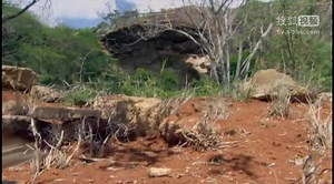 Andys_Wild_Adventures_S01E10_Sengi