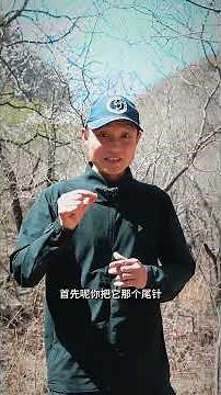 被蜜蜂/马蜂蛰了怎么办？ 转发提醒家人！野外游玩必备技能！ #急救知识 #户外安全 #冷知识 #生活常识#安全知识