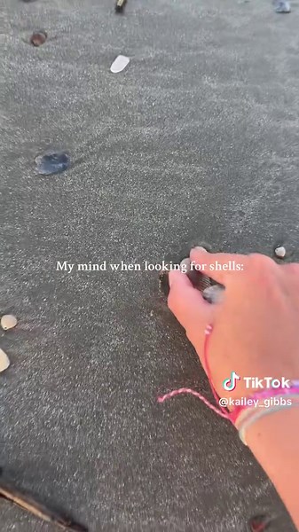 Finding Unique Seashells on Isle of Palms Beach